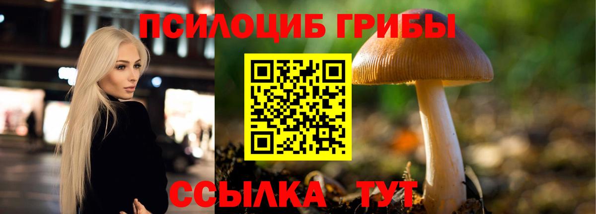 Гагарин  Галлюциногенные грибы мухоморы  Вход с VPN 